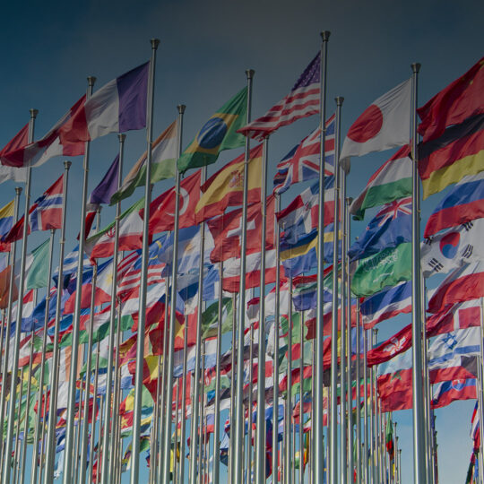 various country flags dark